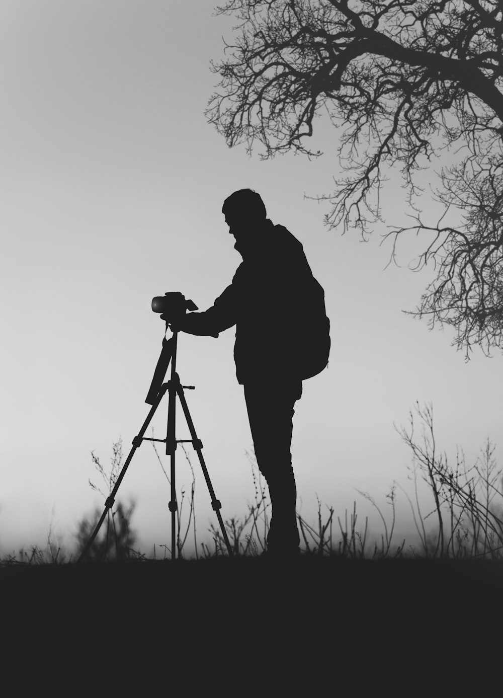 葉のない木の下で三脚を持つデジタル一眼レフカメラの前にいる男性のシルエット写真