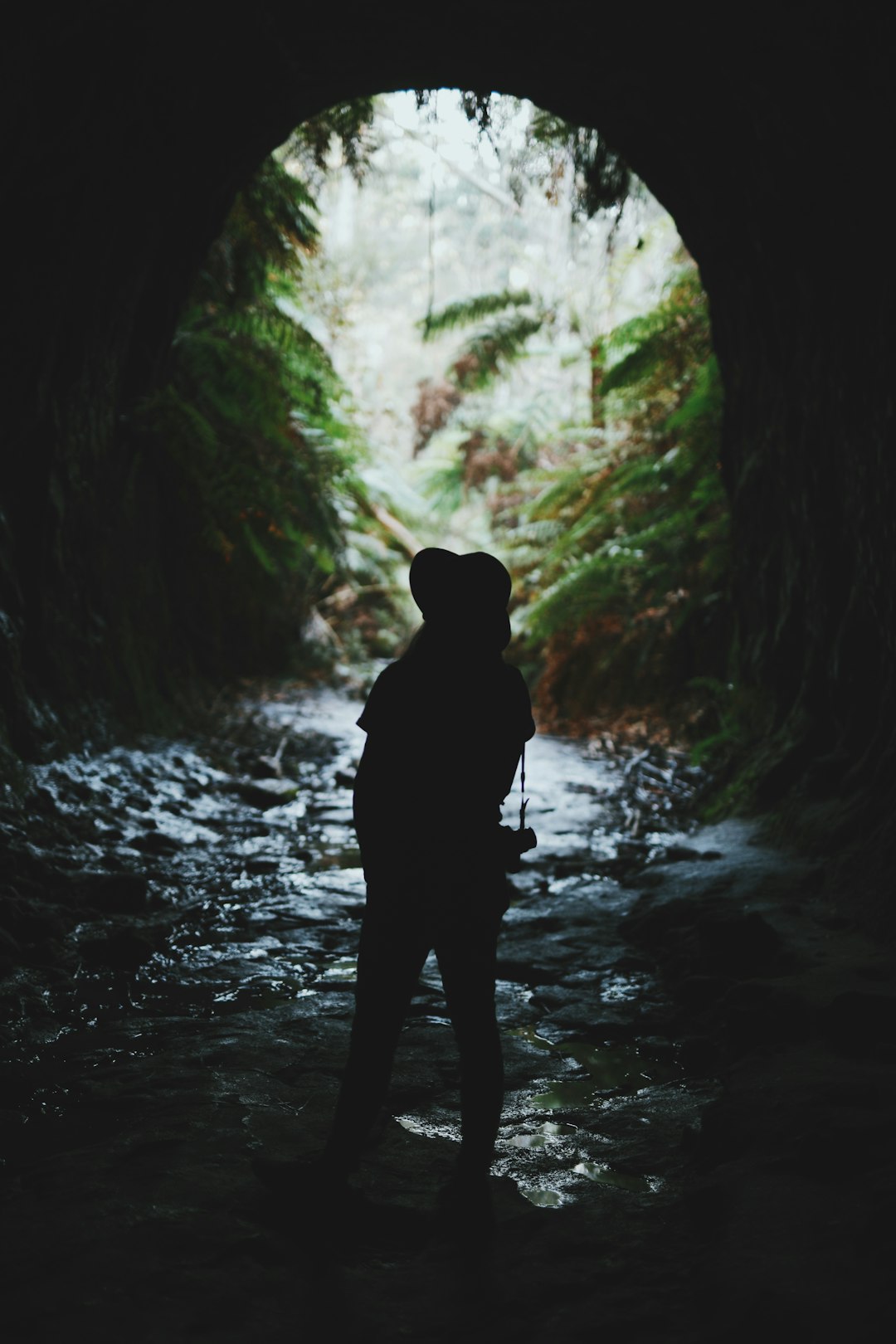 Forest photo spot Glow Worm Cave New South Wales