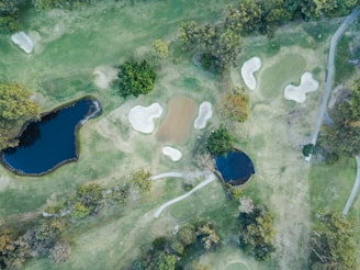 body of water surrounded with green trees painting