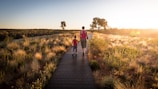 A smiling father and daughter holding hands on a sunlit forest path.