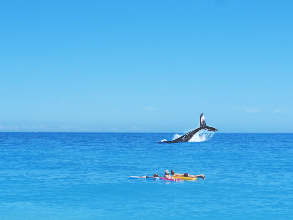 three person watching whale on beach