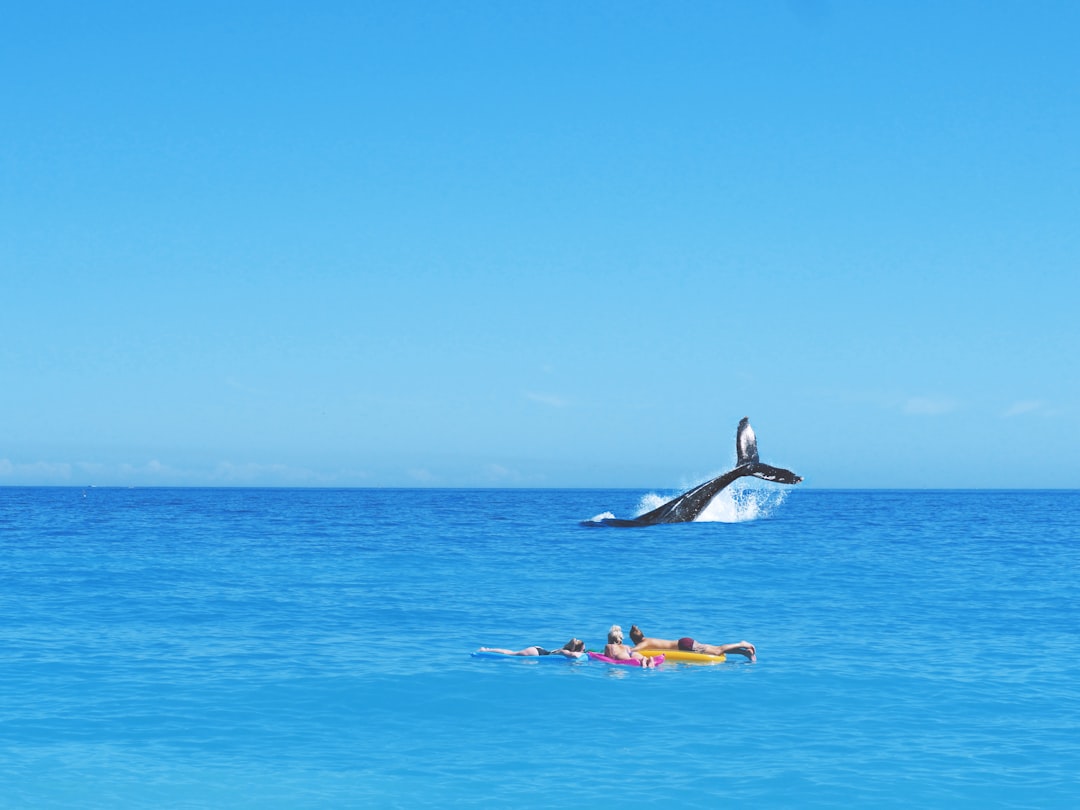 Ocean photo spot Cannes Bormes-les-Mimosas