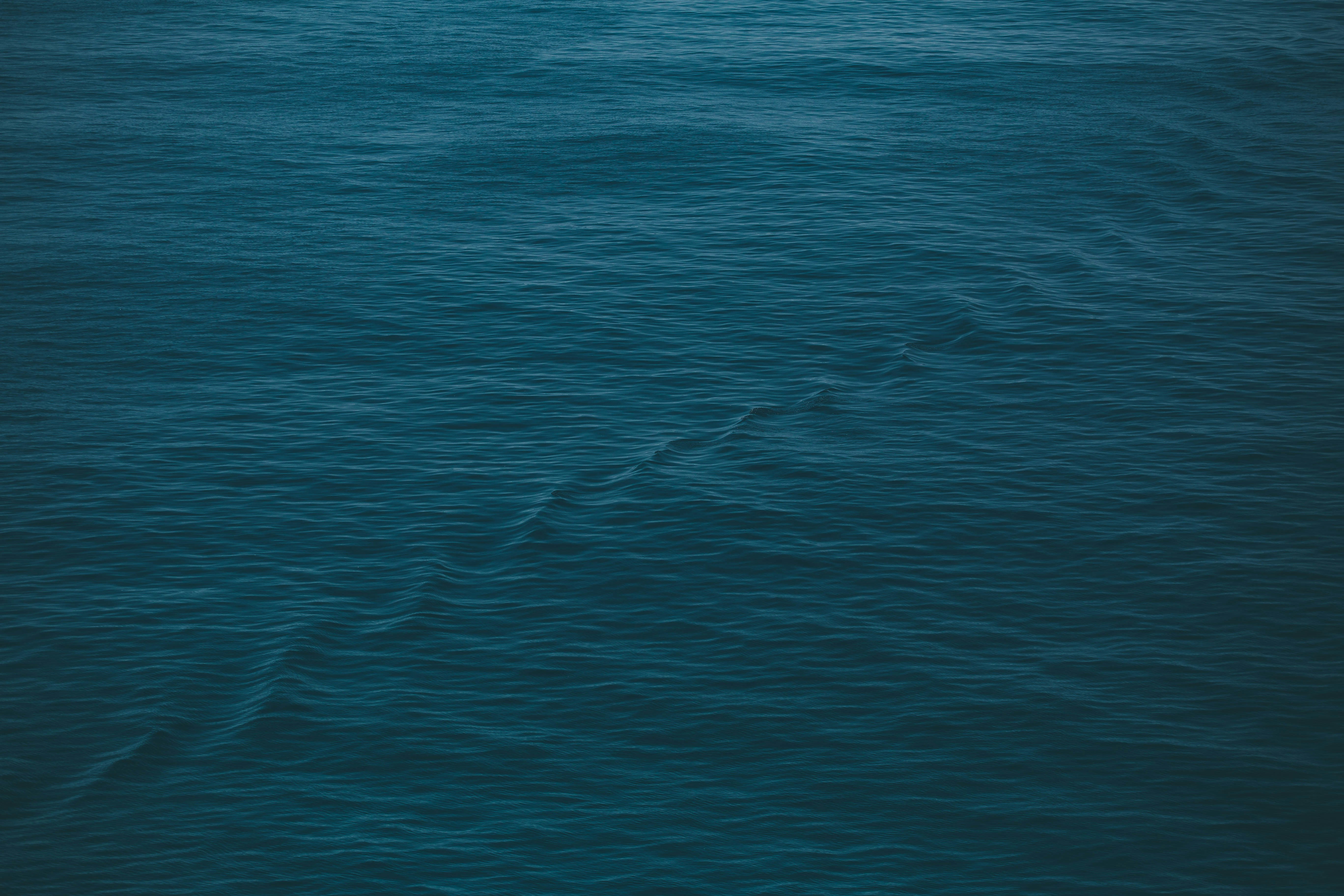 Photo by knipszimmer