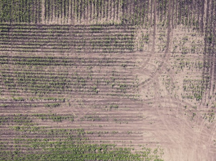 aerial photo of land