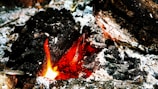 Crackling embers with glowing red coals surrounded by blackened wood and ash. The charred logs reveal textures created by the intense heat. Bright, warm flame highlights the combustion process.