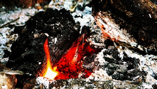 Crackling embers with glowing red coals surrounded by blackened wood and ash. The charred logs reveal textures created by the intense heat. Bright, warm flame highlights the combustion process.