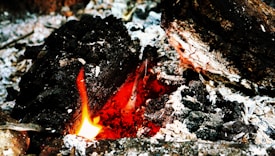 Crackling embers with glowing red coals surrounded by blackened wood and ash. The charred logs reveal textures created by the intense heat. Bright, warm flame highlights the combustion process.
