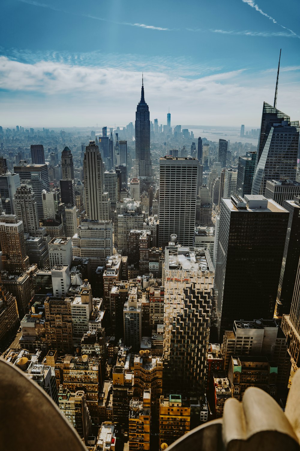 aerial view photo of urban area