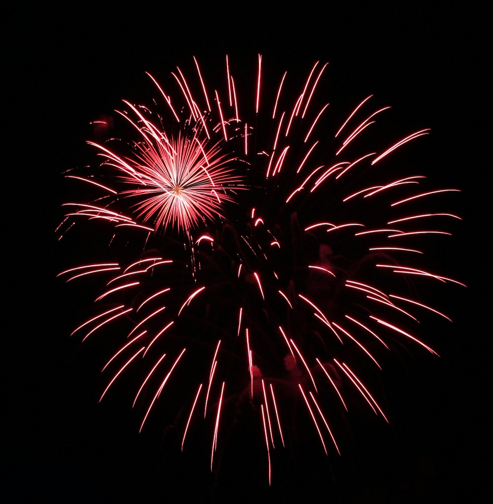 Red fireworks exploding in the night sky