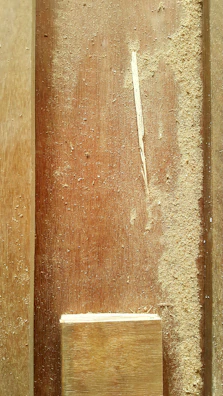 Detail of sawdust flying off freshly cut wood from a vertical saw.