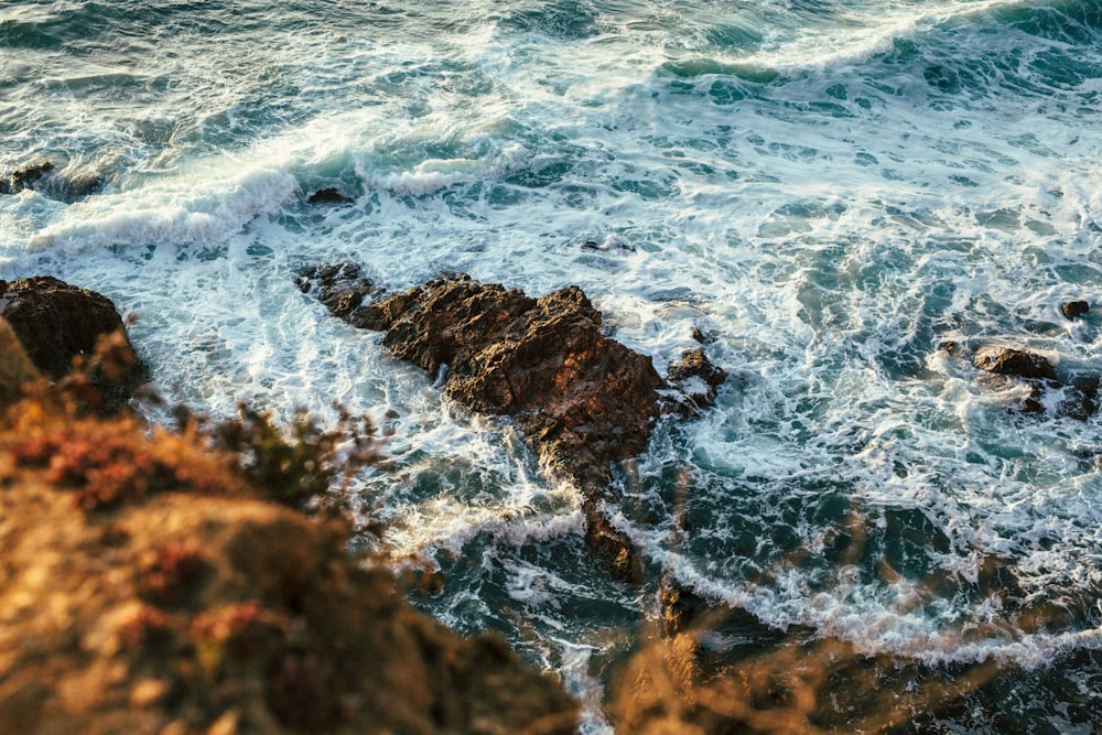 aerial photography of seashore