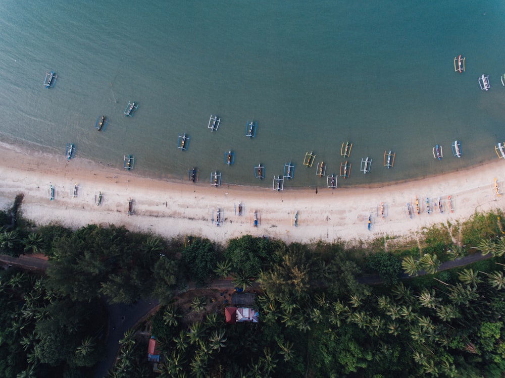 people on seashore during daytime