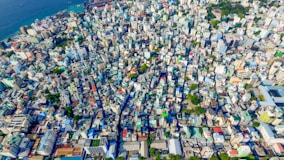 aerial photo of blue and white city
