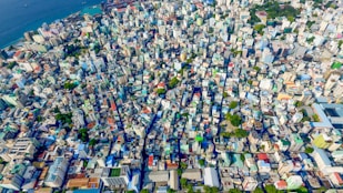 aerial photo of blue and white city