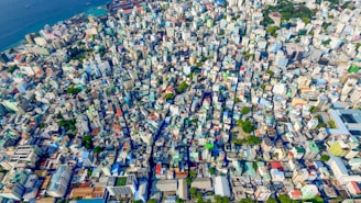 aerial photo of blue and white city