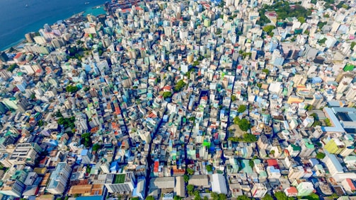 aerial photo of blue and white city