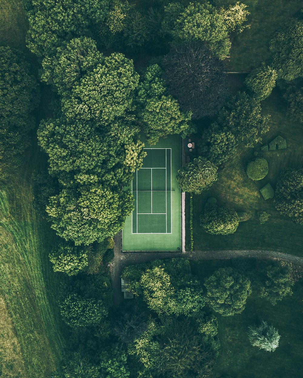 aerial photo of tennis court surrounded with trees