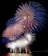 Vibrant fireworks explode in the night sky over a body of water, with bursts of red, white, and blue creating dazzling patterns. The reflection of the fireworks can be seen on the water's surface.