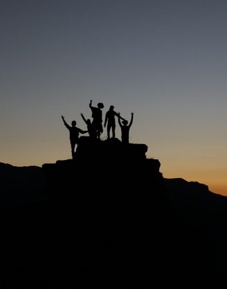 silhouette of people standing on highland during golden hours