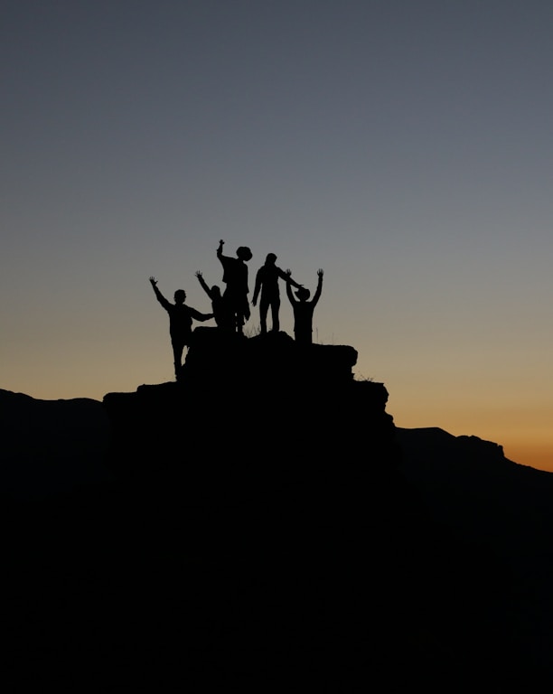 silhouette of people standing on highland during golden hours