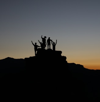 silhouette of people standing on highland during golden hours