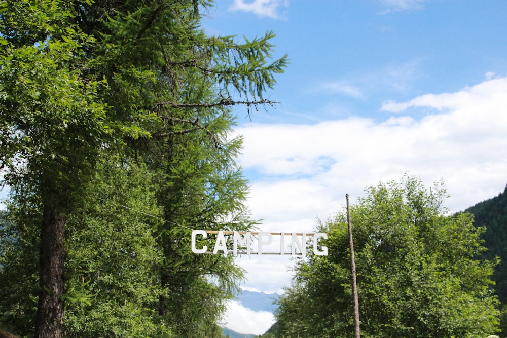 Camping signage surrounded by trees