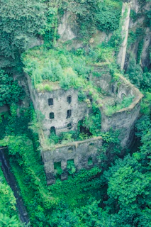 Ruins of a once-bustling metropolis swallowed by creeping vines and eerie silence.