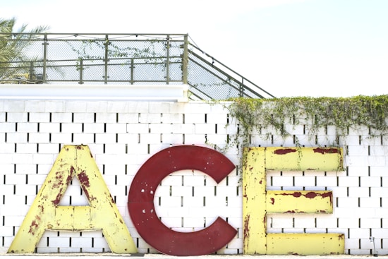 Large, vintage-style letters spell out 'ACE' against a white brick wall. The letters are weathered, with visible rust on the red 'C' and yellow 'A' and 'E'. Green vines drape over the top of the wall, adding a natural element to the scene. A metal fence and palm tree can be seen in the background.