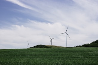 three windmill on green field