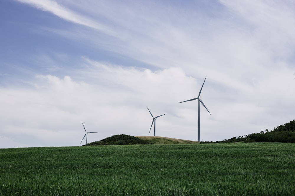 Tres molinos de viento en campo verde