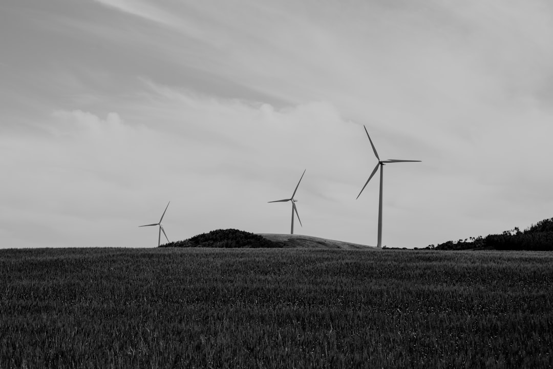 grayscale photo of line windmills
