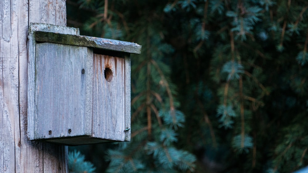 brown wooden bird house in tilt shift lens