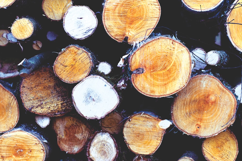 brown and white wood logs