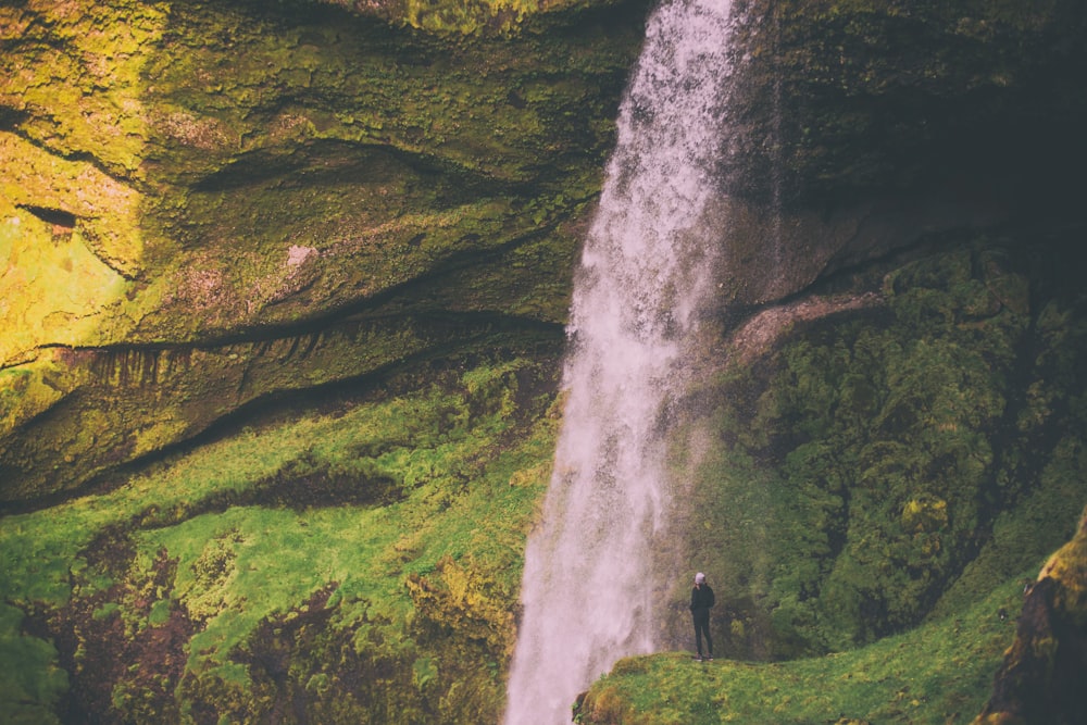 person near waterfalls