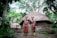 Two people are standing in front of a traditional thatched-roof hut surrounded by lush greenery. They are wearing cultural attire and have body paint and accessories that reflect traditional designs. The background features dense trees and plants, creating a natural setting.