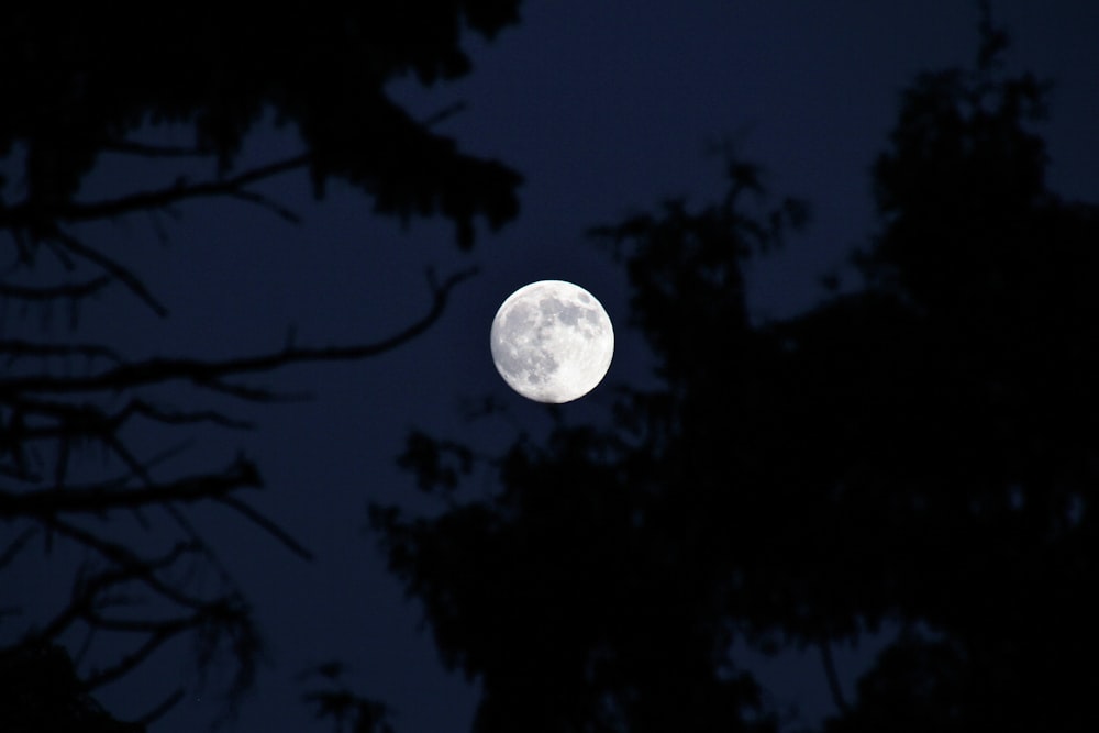 photography of moon during nightime