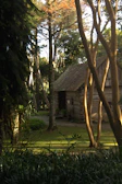 A rustic eco-cabin nestled among dense greenery with sunlight filtering through