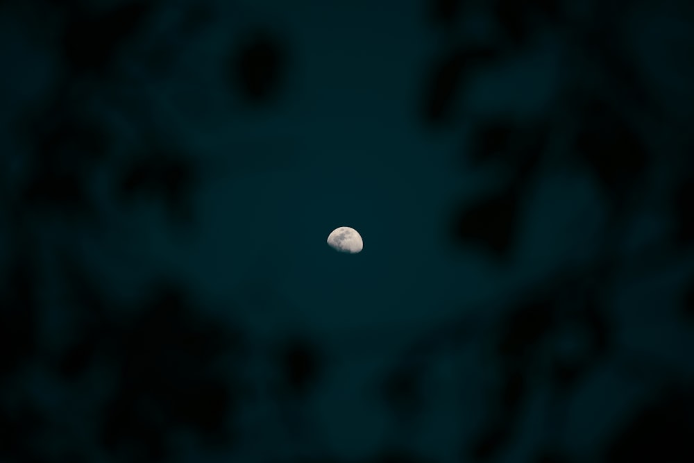 moon photo