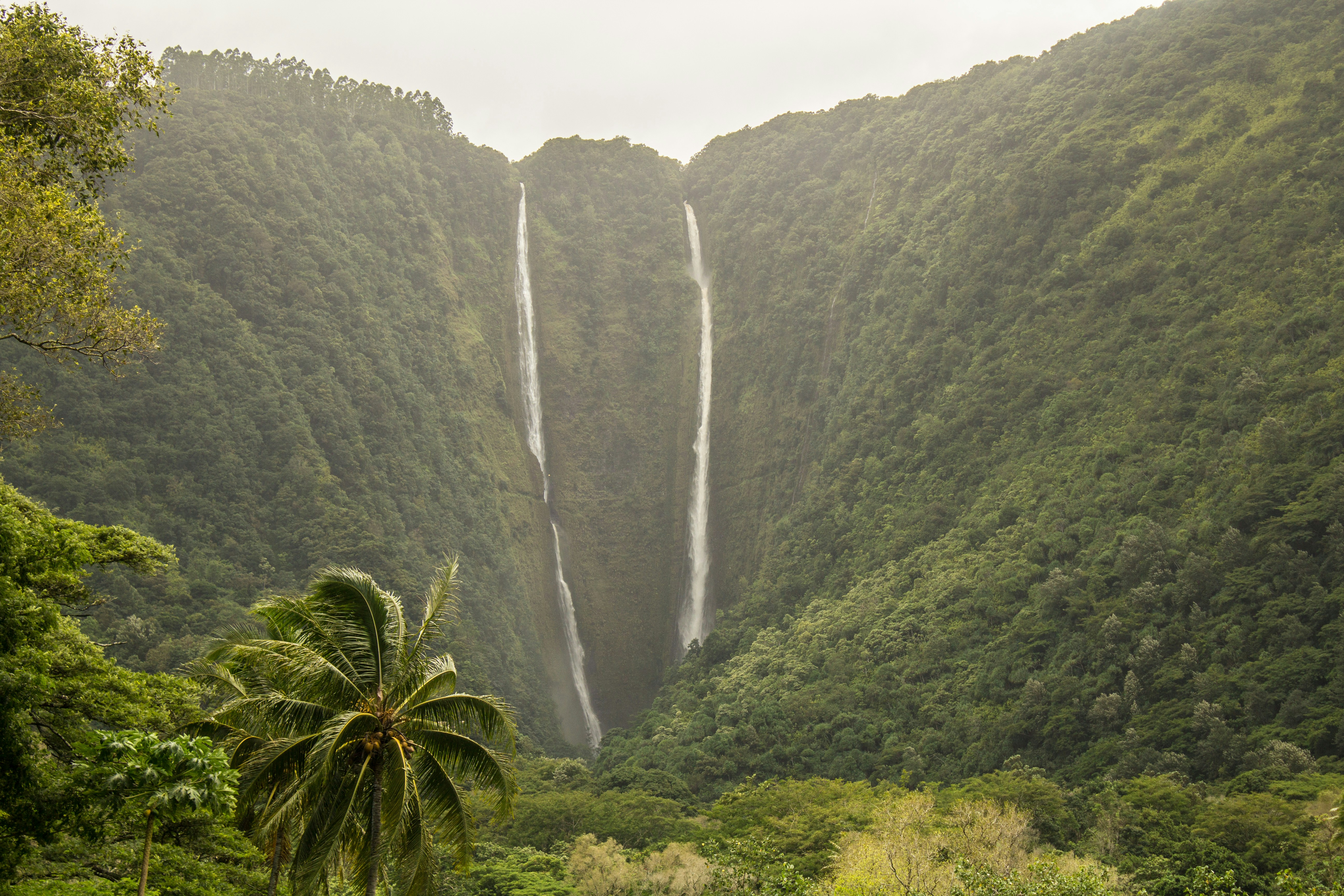 Twin waterfalls of Trafalgar Falls cascading through lush tropical forest