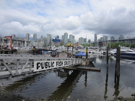 A bustling marina with numerous boats docked in the water. A sign reading 'Public Fish Sales' is prominently displayed on a wooden pier extending into the water. High-rise buildings are visible in the background under a partly cloudy sky, suggesting an urban environment.