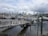 A bustling marina with numerous boats docked in the water. A sign reading 'Public Fish Sales' is prominently displayed on a wooden pier extending into the water. High-rise buildings are visible in the background under a partly cloudy sky, suggesting an urban environment.