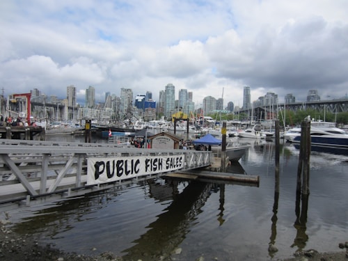 A bustling marina with numerous boats docked in the water. A sign reading 'Public Fish Sales' is prominently displayed on a wooden pier extending into the water. High-rise buildings are visible in the background under a partly cloudy sky, suggesting an urban environment.