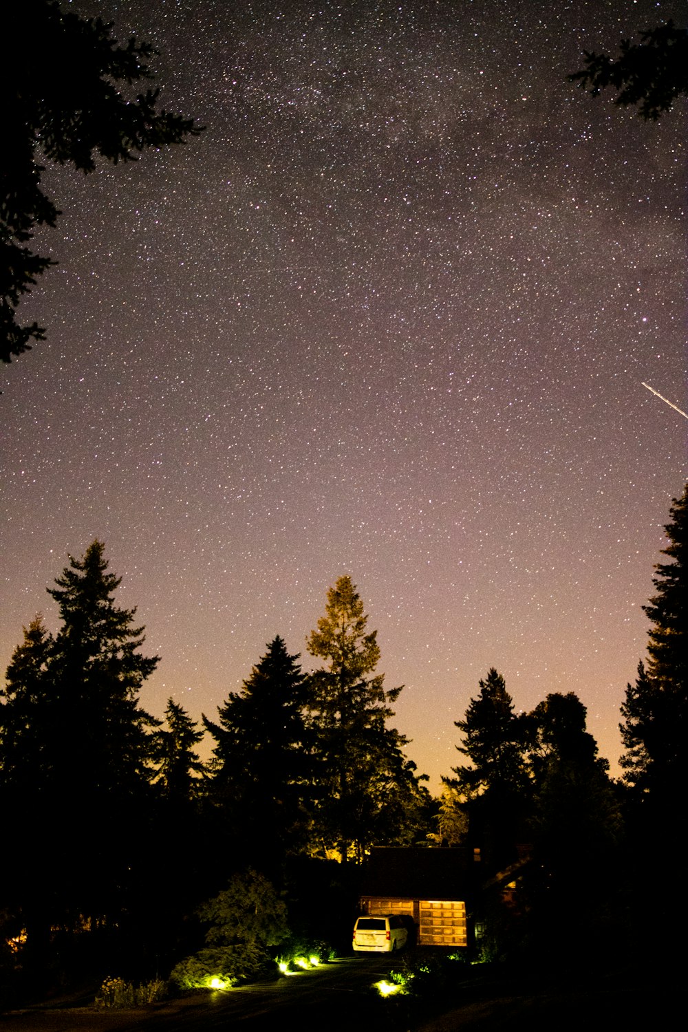 silhouette of vehicle and trees under starry sky