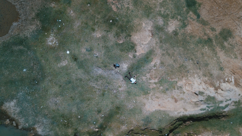 bird's eye-view photo of man lying on the floor