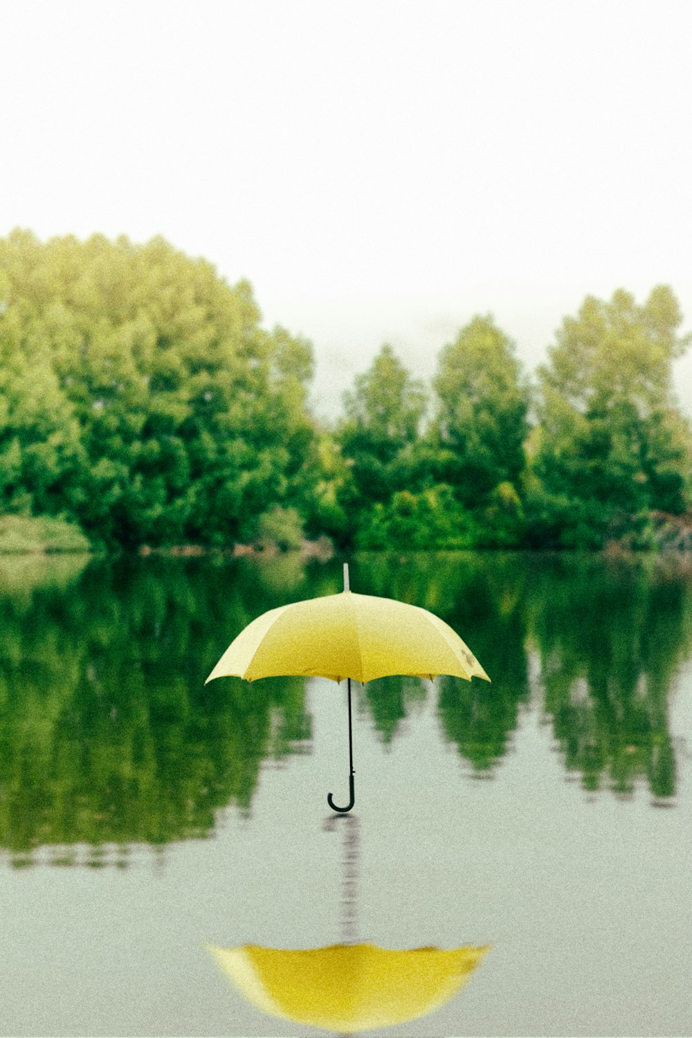 昼間の水面に黄色い傘