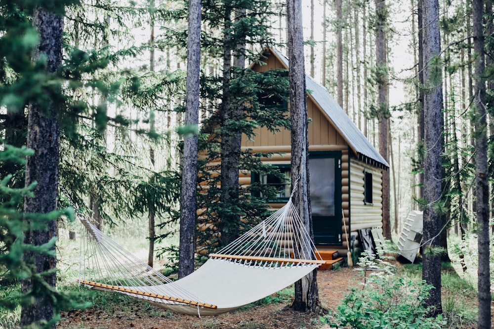 Casa de madera con hamaca adosada a un árbol