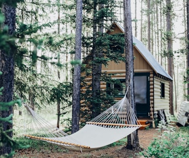 wooden house with hammock attached on tree