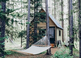 wooden house with hammock attached on tree