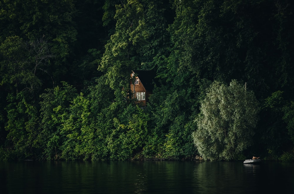 Casa marrone e bianca circondata da piante e alberi