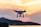 Drone capturing a stunning sunset over a city skyline.